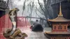 Invazie de cobre în China, după inundații. Sute de șerpi veninoși au scăpat din ferme, iar autoritățile sunt în alertă