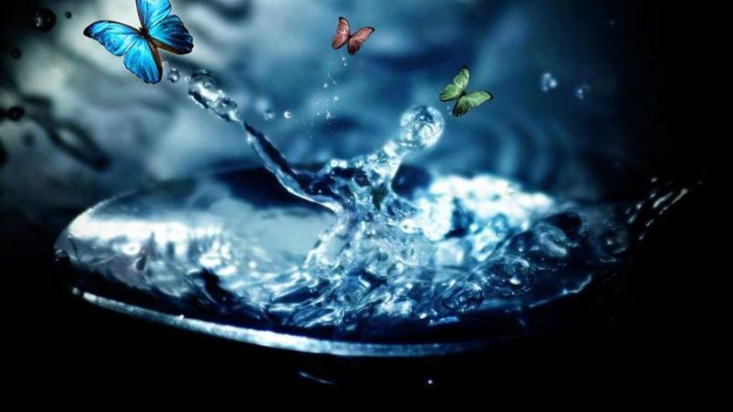 Ce înseamnă când visezi fluturi. Te aşteaptă ceva bun sau rău de la viaţă? Depinde de fluturi!