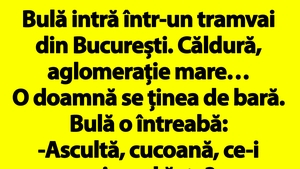 BANCUL ZILEI | Bulă intră într-un tramvai din București