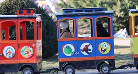 Galerie foto - poza 3