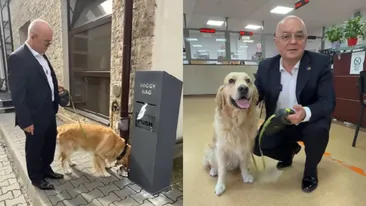 Lege nouă la Cluj! Emil Boc a făcut marele anunț: unde pot intra acum românii însoțiți de câinii lor