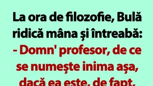 BANC | La ora de filozofie, Bulă ridică mâna și întreabă