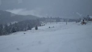 Ninsoare ca în povești în România! Stratul de zăpadă depus atinge câțiva centimetri