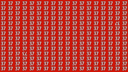 Test de inteligență | Găsiți numerele '37' și '73' care sunt inversate, în doar 15 secunde!