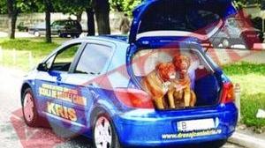 Taxiuri pentru animale