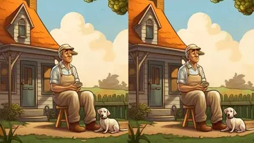 Test de logică | Găsiți toate cele 3 diferențe dintre aceste două poze, în cel mult 17 secunde