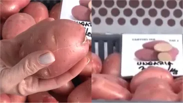 Nu e banc! Cât costă un kilogram de cartofi noi în martie 2026