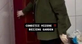 Galerie foto - poza 2