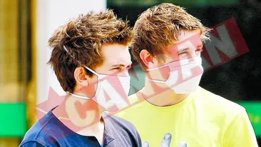 Gripa porcina ucide aproape de Romania