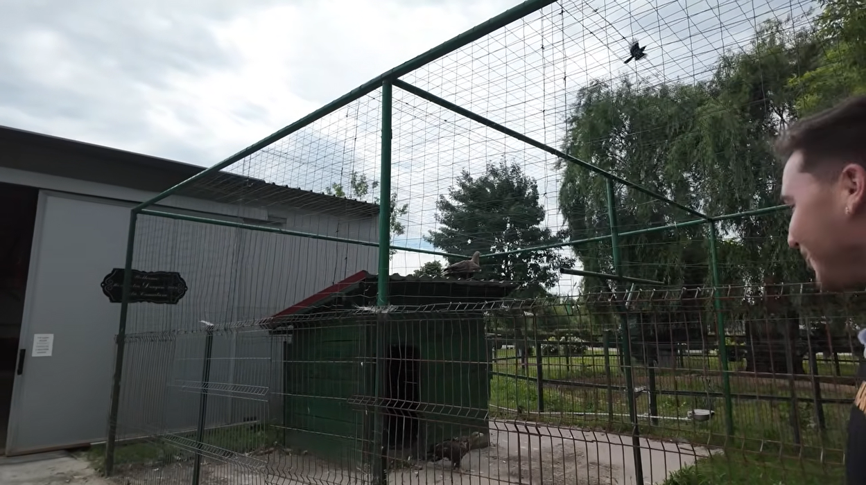 Acasă la Nuțu Cămătaru. Cum arată domeniul de 5 hectare din Rahova? Specii inedite de animale și cea mai mare piscină din București