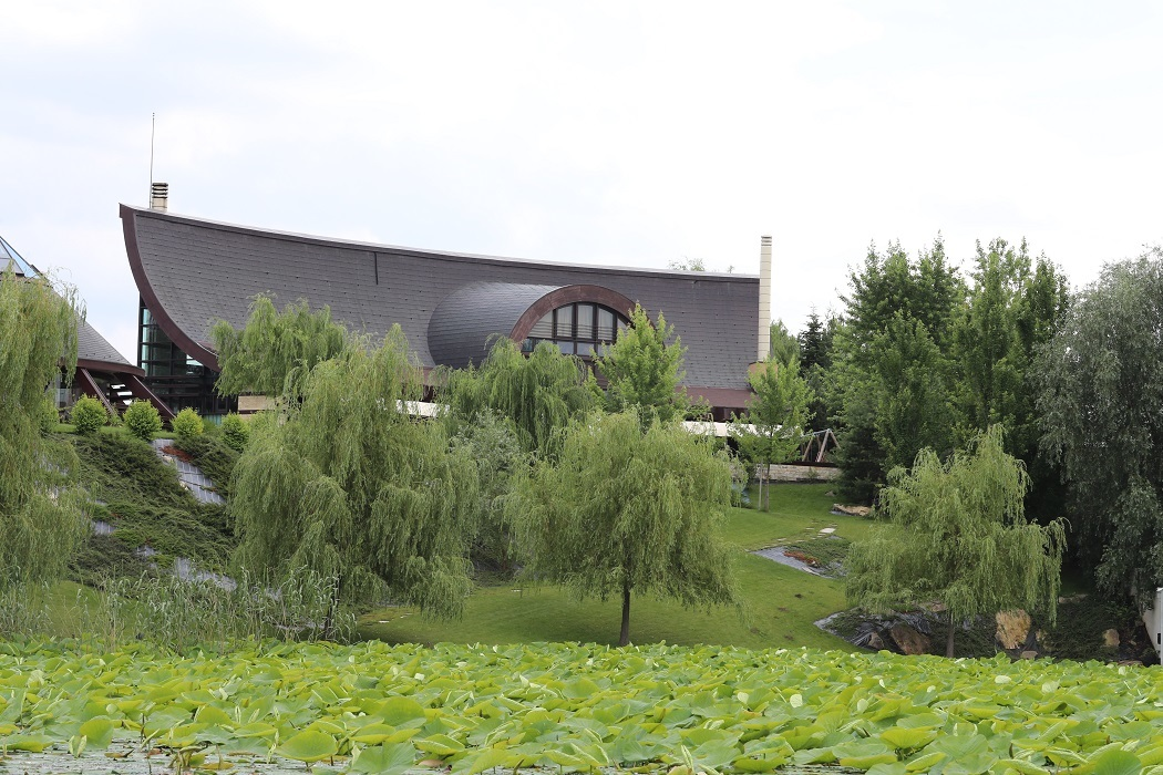 Vila de la Snagov a milionarului Yoav Shtern