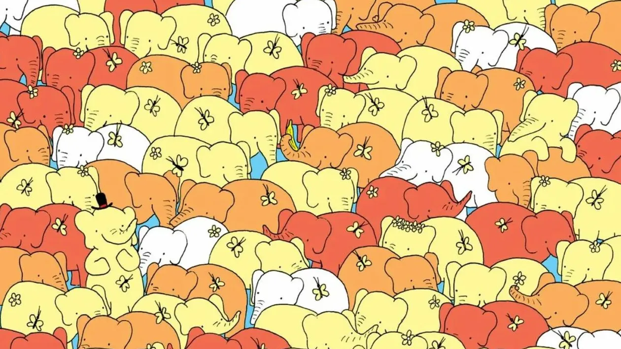 Test de perspicacitate | Numai geniile găsesc inima care se ascunde în poză, în 28 de secunde