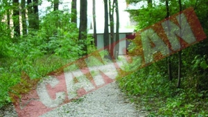 Au taiat copaci in nestire ca sa-si faca scurtatura spre casa