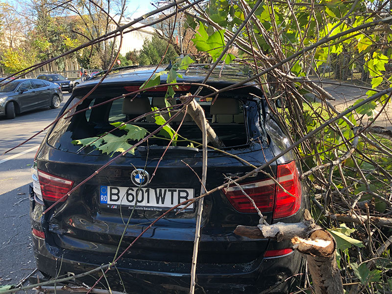 Vântul puternic a doborât un arbore din Capitală. Pomul a căzut fix pe o…