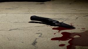 Bihor: Fata de 13 ani care și-a înjunghiat bunica și a fugit dintr-un centru de minori a fost găsită