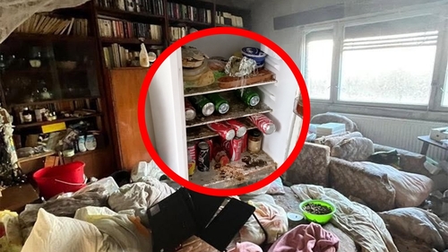 Aflată în străinătate, o româncă și-a închiriat apartamentul din Cluj-Napoca unui cuplu de tineri: ea studentă la Drept, el medic. Întoarsă acasă după 3 ani, proprietara a trăit sperietura vieții. Cum arăta locuința