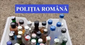 Galerie foto - poza 3