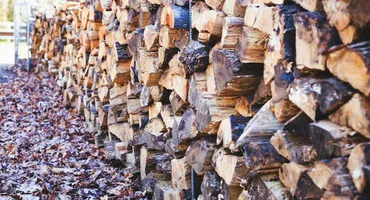 Cât costă un metru cub de lemne la jumătatea lui septembrie 2025, după creșterea TVA-ului