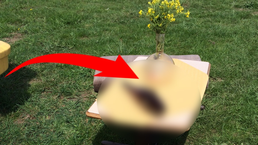 Ce a putut sa puna un vamaiot in fata rulotei pe plaja! A pus fata de masa, apoi...