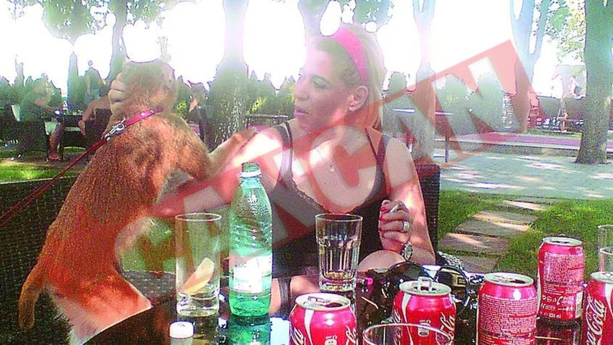 Oana Roman risca sa ramana fara maimuta