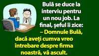 BANC | Bulă se duce la interviu pentru un nou job