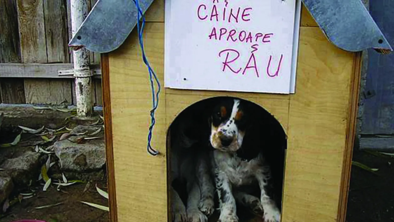 Aceasta este poza pe care mii de oameni si-au pus-o pe Facebook. Intra sa vezi mesajul care a starnit hohote de ras