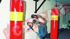 "Romania e bolnava.Vreau s-o vindec!"