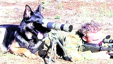 Cum se distreaza soldatii pe front