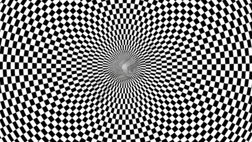 Iluzie optică virală | Exclusiv pentru genii: Ce animal se ascunde în această imagine?