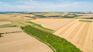 Cât teren dețin străinii în România, de fapt. Procentul nu este unul foarte mare