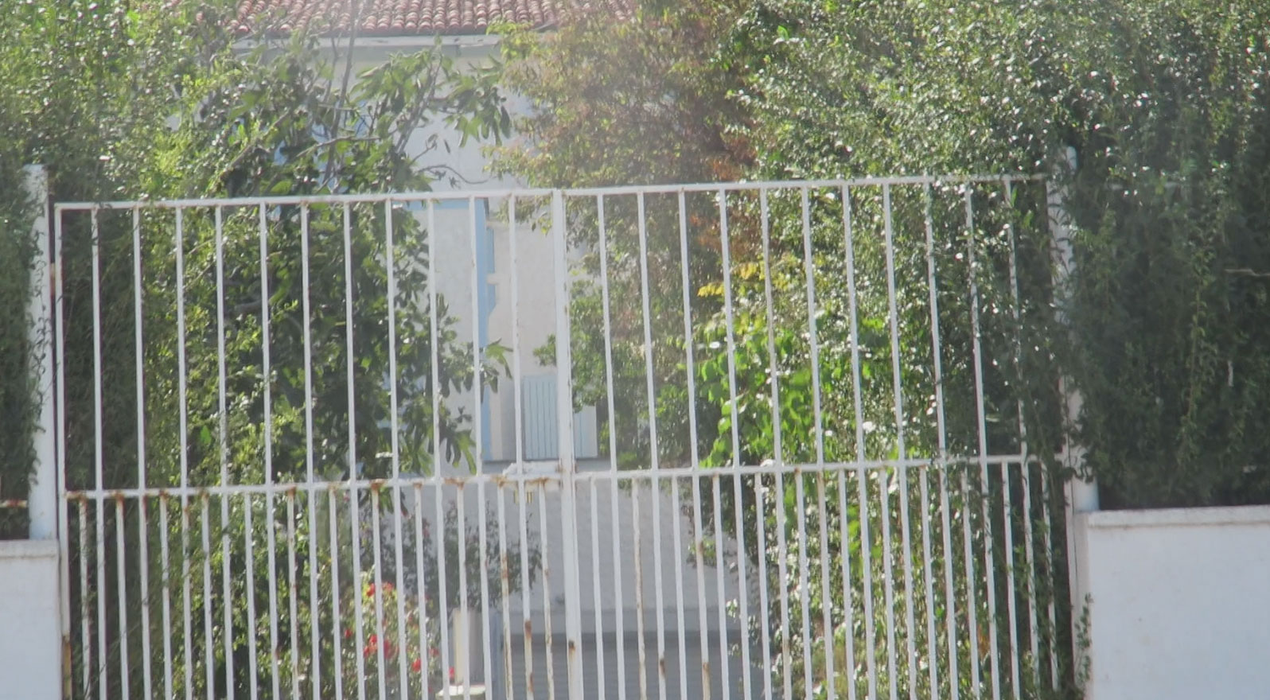 Dana, văduva lui Sergiu Nicolaescu, a ”abandonat” vila de la mare și s-a retras la București