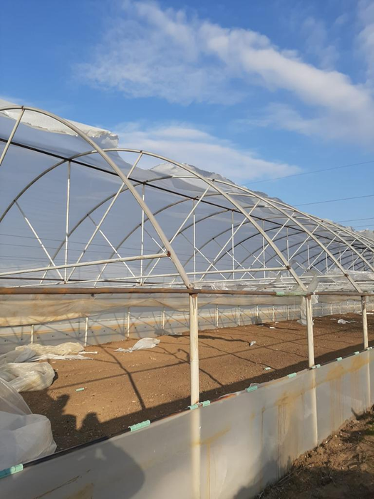 Vântul a făcut prăpăd în solariile din Izbiceni