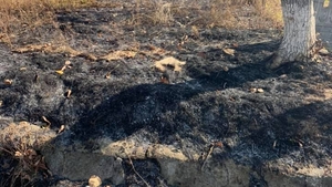 Piroman căutat de oamenii legii. Toaleta sediului de Poliţie din Laloşu a fost incendiată