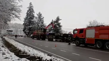 VIDEO | Accident în Argeș! Un TIR încărcat cu lemne s-a răsturnat, a rupt un stâlp și a avariat o conductă de gaze