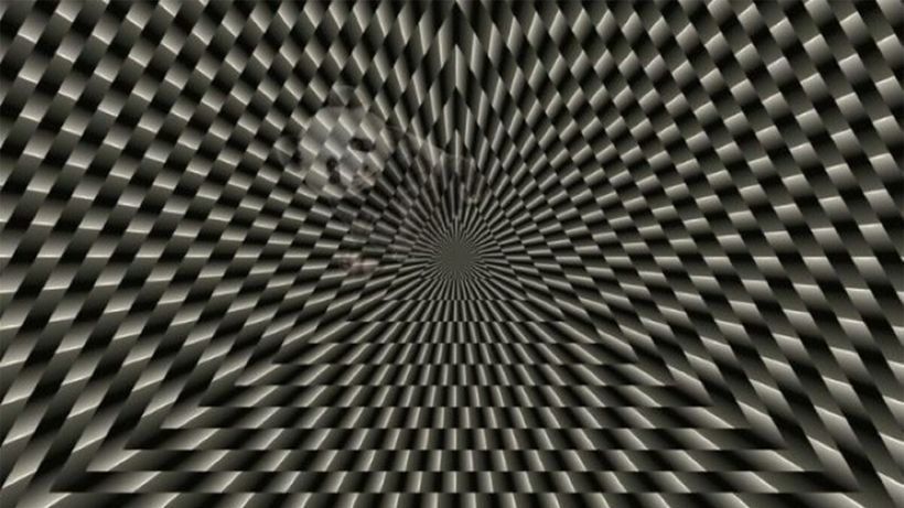 Iluzie optică | Ce animal se ascunde în această imagine? Geniile răspund corect în 19 secunde