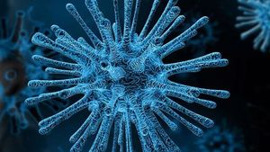 S-a modificat bilanțul deceselor provocate de coronavirus în România. Informații oficiale despre cei care au fost răpuși de dușmanul invizibil