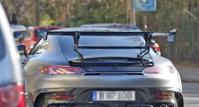 Galerie foto - poza 3