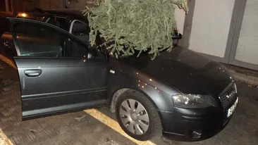 A ”zburat” bradul pe geam, de la etaj, fără să se gândească la consecinţe! Ce a urmat a devenit viral. A fost grav afectată