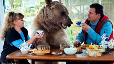 Un cuplu din Rusia locuieşte c-un urs! FOTO incredibile cu STEPAN, ursul care stă cu ei până şi la masă
