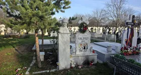 Galerie foto - poza 2