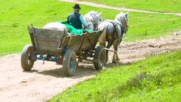 A omorat in bataie un batran si a pretins ca a vrut sa-l salveze