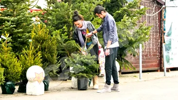 Cosmina Pasarin a facut Craciunul cu brad la ghiveci! L-a invatat pe arab sa petreaca crestineste