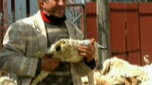 VIDEO Catalin Maruta si-a luat-o pe cocoasa de la Mirabela Dauer: "Te omor"! Amenintarea nu e gluma! Vezi ce s-a intamplat!