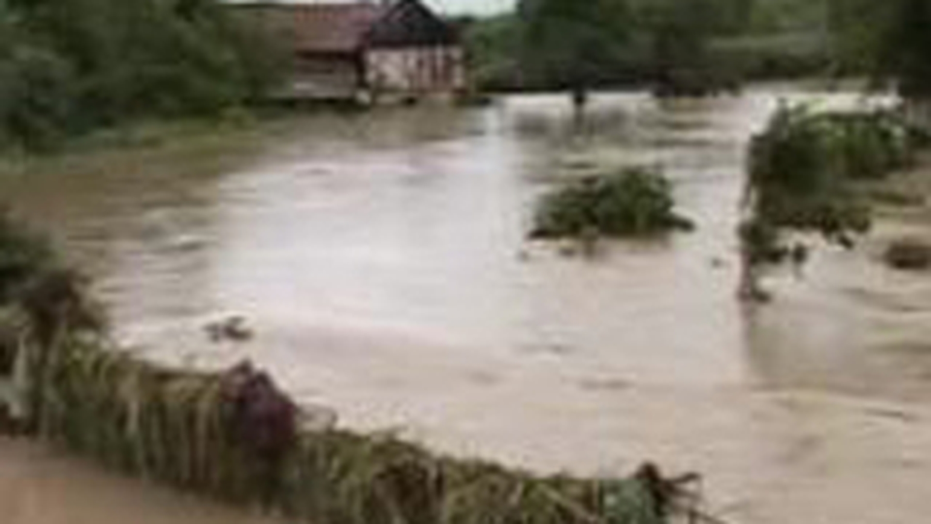VIDEO Un barbat de 68 de ani din judetul Bacau a fost luat de viitura! Vezi aici ce judete au mai cazut prada inundatiilor!