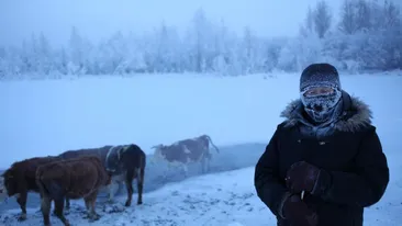 Crezi ca stii ce este frigul? Vezi care este cel mai inghetat loc din lume si cum rezista locuitorii de acolo la minus 50 grade