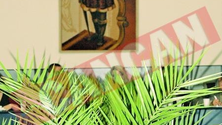 Stefan cel Mare, incadrat de palmieri