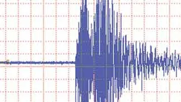 Misiune umanitara made in Romania! Le trimitem japonezilor apa de 50.000 de lei, dar transportul costa de 7 ori mai mult!