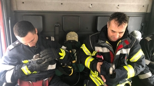 Operațiune de salvare emoționantă a pompierilor. Doi pui de iepure, scoși din flăcări. FOTO&VIDEO