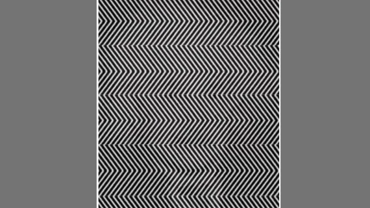 Iluzie optică virală pentru genii | Ce bărbat celebru se ascunde în această imagine?