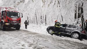 Cod portocaliu în Argeș: copac doborât și autoturisme în șanț!